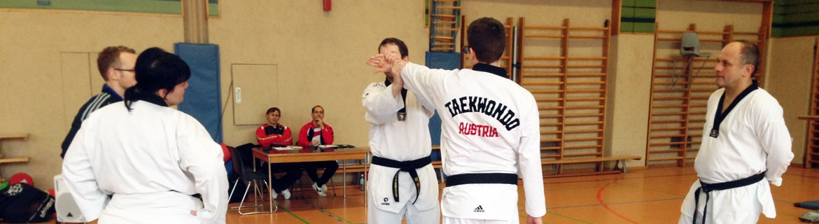 Headerbild der BSPA Graz - Präsentation einer Taekwondo-Technik im Turnsaal