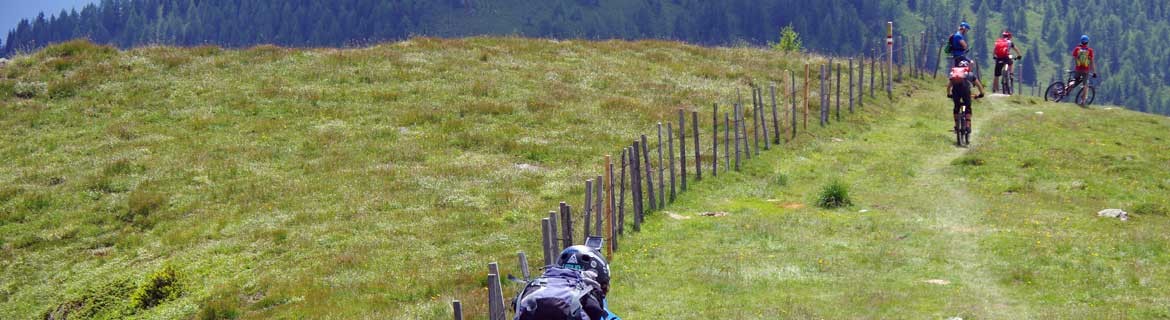 Headerbild der BSPA Graz - Gruppe Mountainbiker auf einer Almwiese