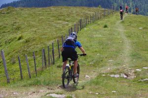 Foto von einer Gruppe Mountainbiker bei der Fahrt über einen Grashügel