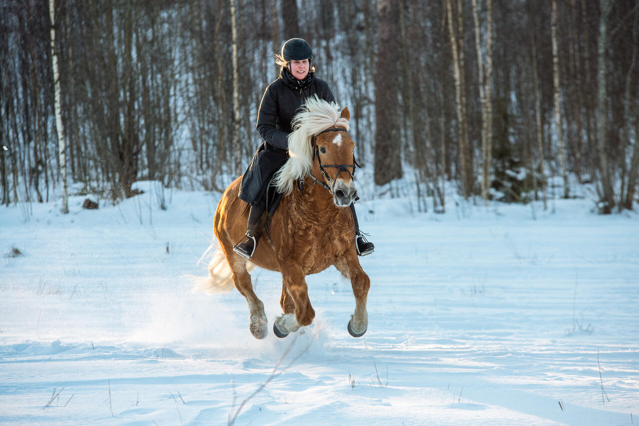 Eine Reiterin am Pferd im Schnee.