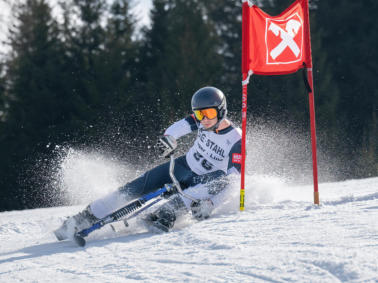 Eine Person am Skibob auf Schnee in Schräglage mit der Schulter ein Tor berührend.