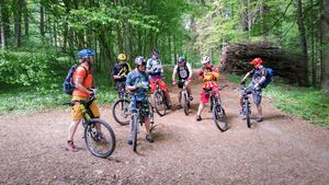 Foto von einer Gruppe Mountainbiker die beim Orientieren auf einem Waldweg stehen